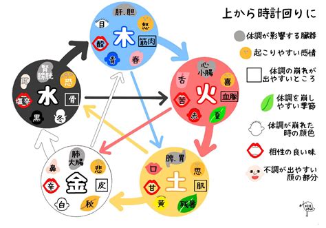 五行 体の部位|カラダは5つに分類される「五行説」とは｜東洋医学 